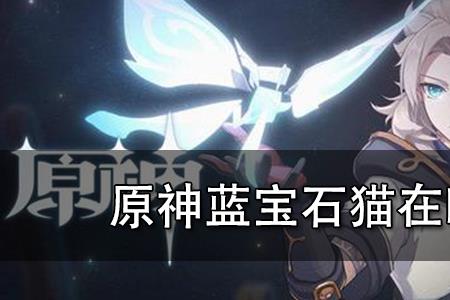 原神31的猫名字