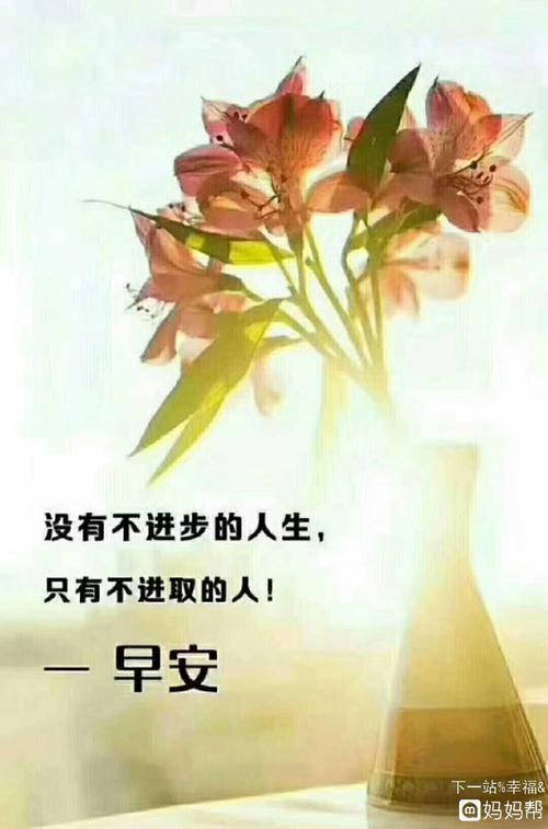 早安三分钟的内容
