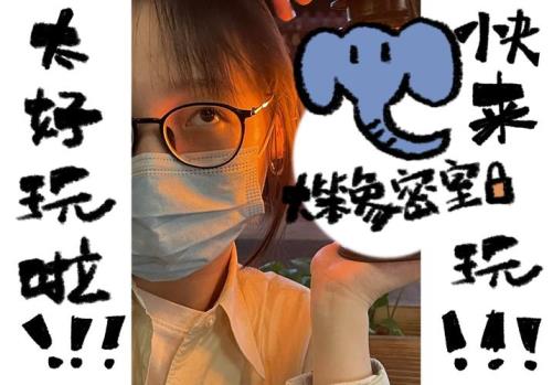 大笨比是什么意思