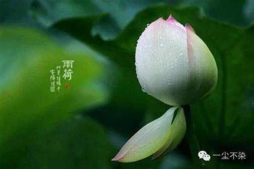 人的一生有多少个缘完整版
