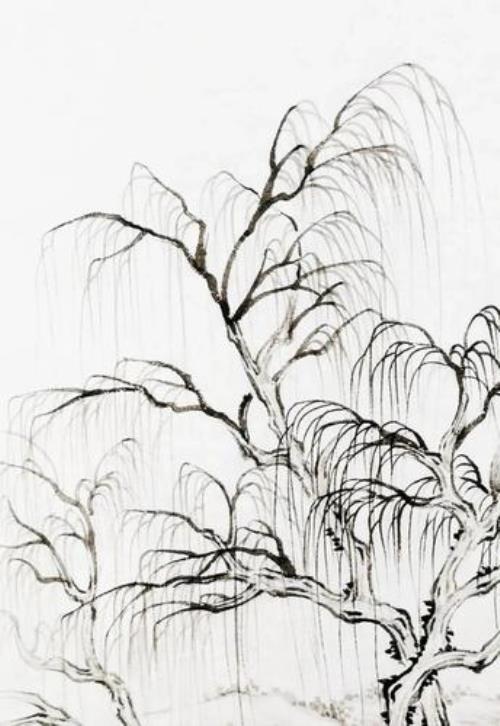 高中柳树简笔画