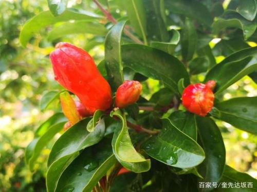 一棍破山藏头诗