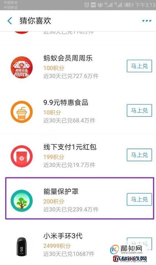 支付宝保护罩如何得到永久的
