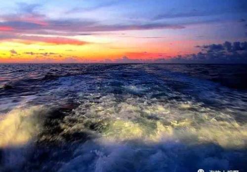 星眠海钓鱼攻略