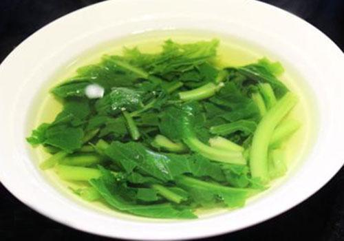 苦菜能放冰箱冷冻吗
