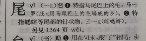 什么的尾巴填合适词语