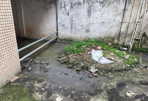 小区的水一般从哪儿来