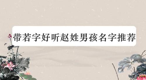 姓苏的男孩名字