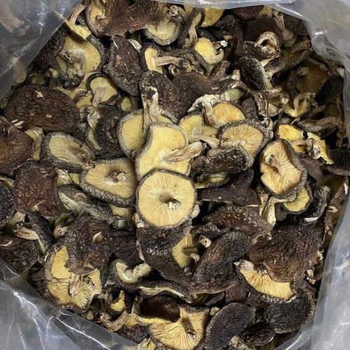 香菇出菇怎样放袋