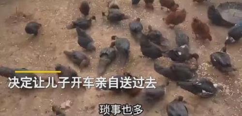 上山去打狼打油诗