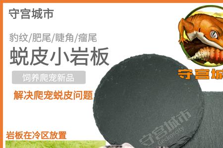 蛇过冬没有加热垫怎么办