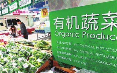 蔬菜店种类有哪些