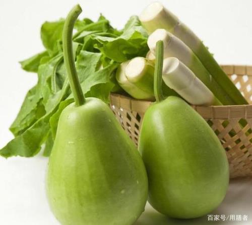 瓠瓜高温不结果吗