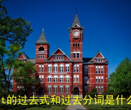 want后面为什么要ing