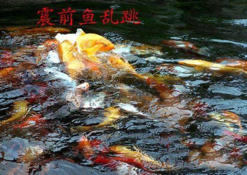 地震前兆有哪些