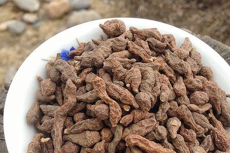 蕨麻怎么煮容易烂