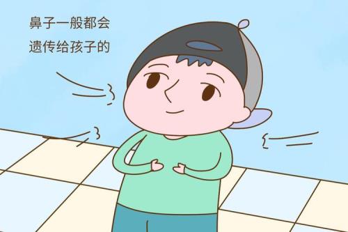 儿子鼻子遗传谁