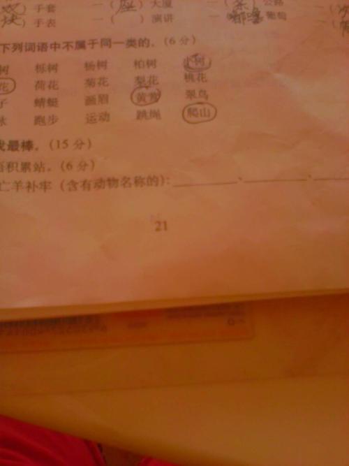 超拽词语两个字