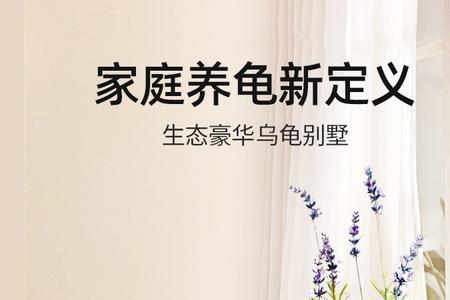 乌龟缸底下可以放过滤物吗