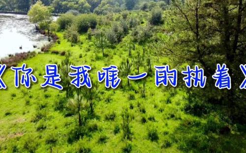 父女对唱你是我唯一的执着