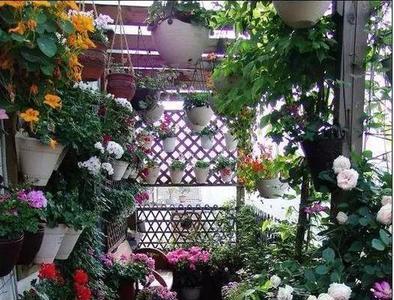 不是落地窗的阳台适合种花吗