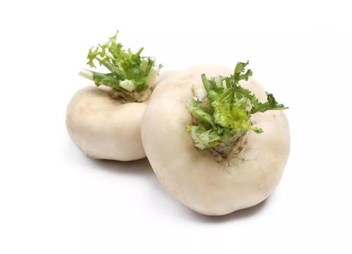 为什么说饱吃萝卜饿吃葱