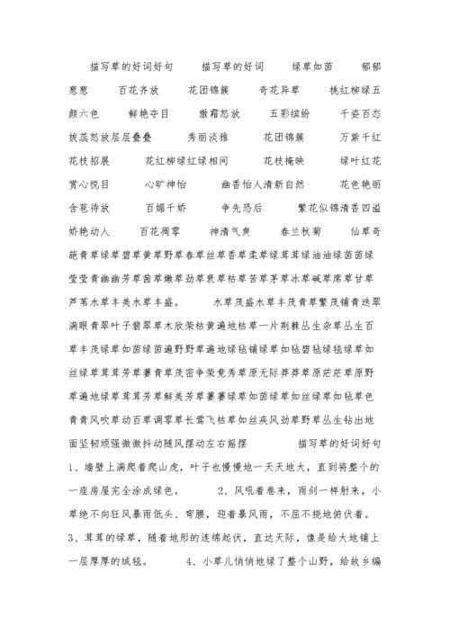 草组什么词好听