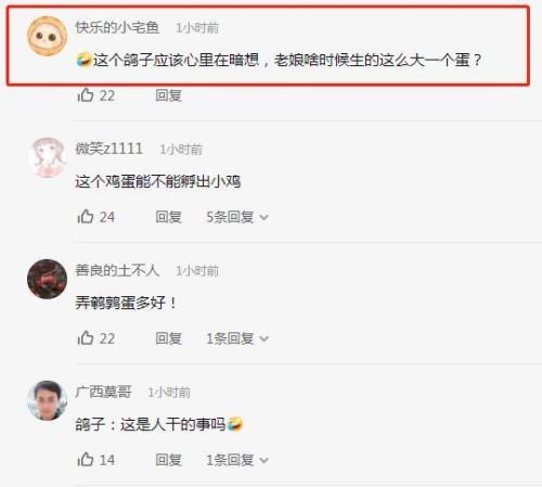 不仅什么什么 还什么什么