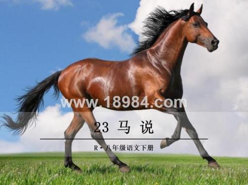 一个马加一个文念什么