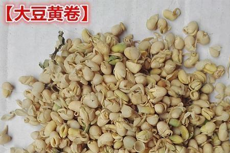 大豆黄卷怎么用