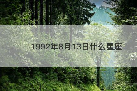 1993年公历10月13是什么星座