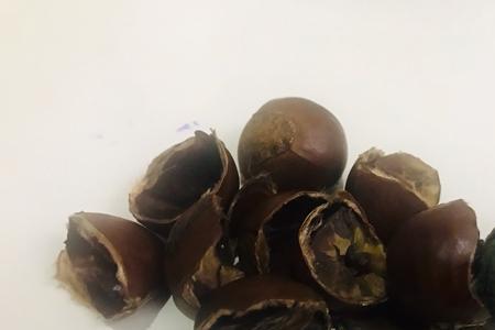 板栗外壳有点发霉该怎么办