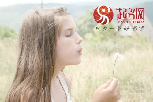 璐敏名字的含义