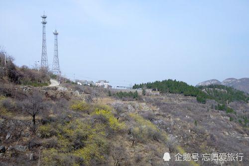济南市海拔高度是多少