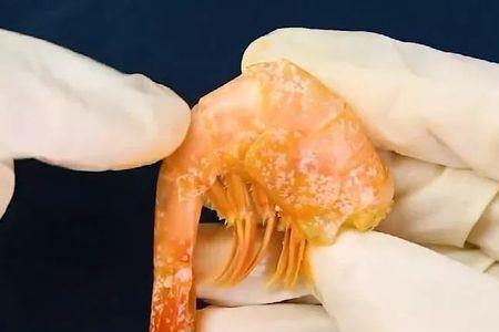 为啥不能随便给人剥虾