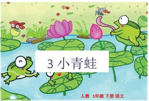 小青蛙学会了什么一年级