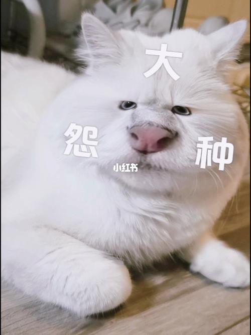 女生说大怨种怎么回复