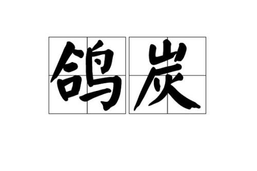 形容鸽子好的词语