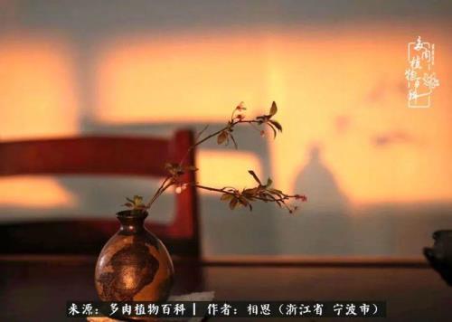 拾是平还是仄声