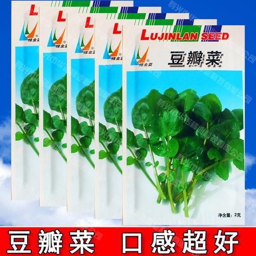 青城缘中杨西原的结局