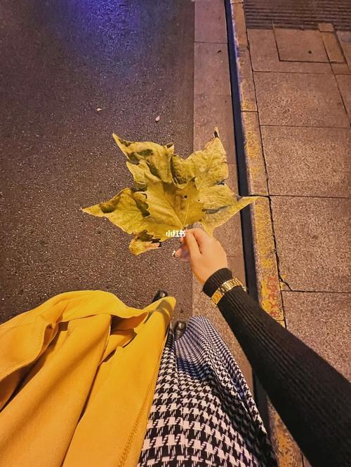 秋天的晚风很舒服句子