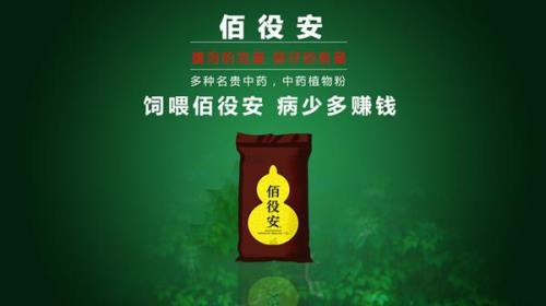 佰役安喂猪怎么样