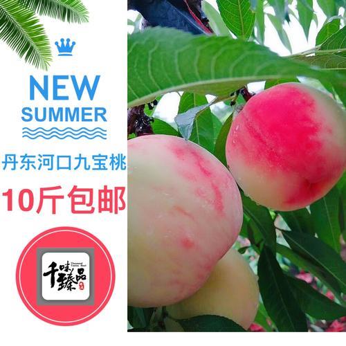 九宝桃怎么洗