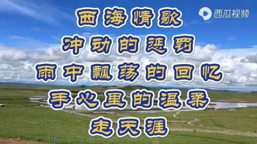 冲动的惩罚和西海情歌哪个音高