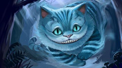 柴郡猫什么时候返场