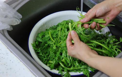 茼蒿怎么摘洗茼蒿怎么择菜