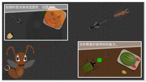 蚂蚁进化3d怎么驯服大青蛙