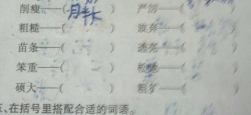win的反义词是什么