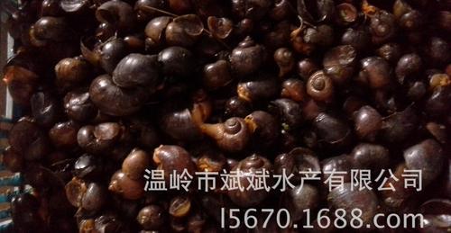 福寿螺养殖方法三种