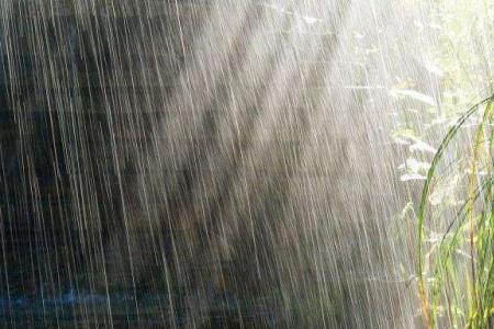 下雨时的风是怎样的